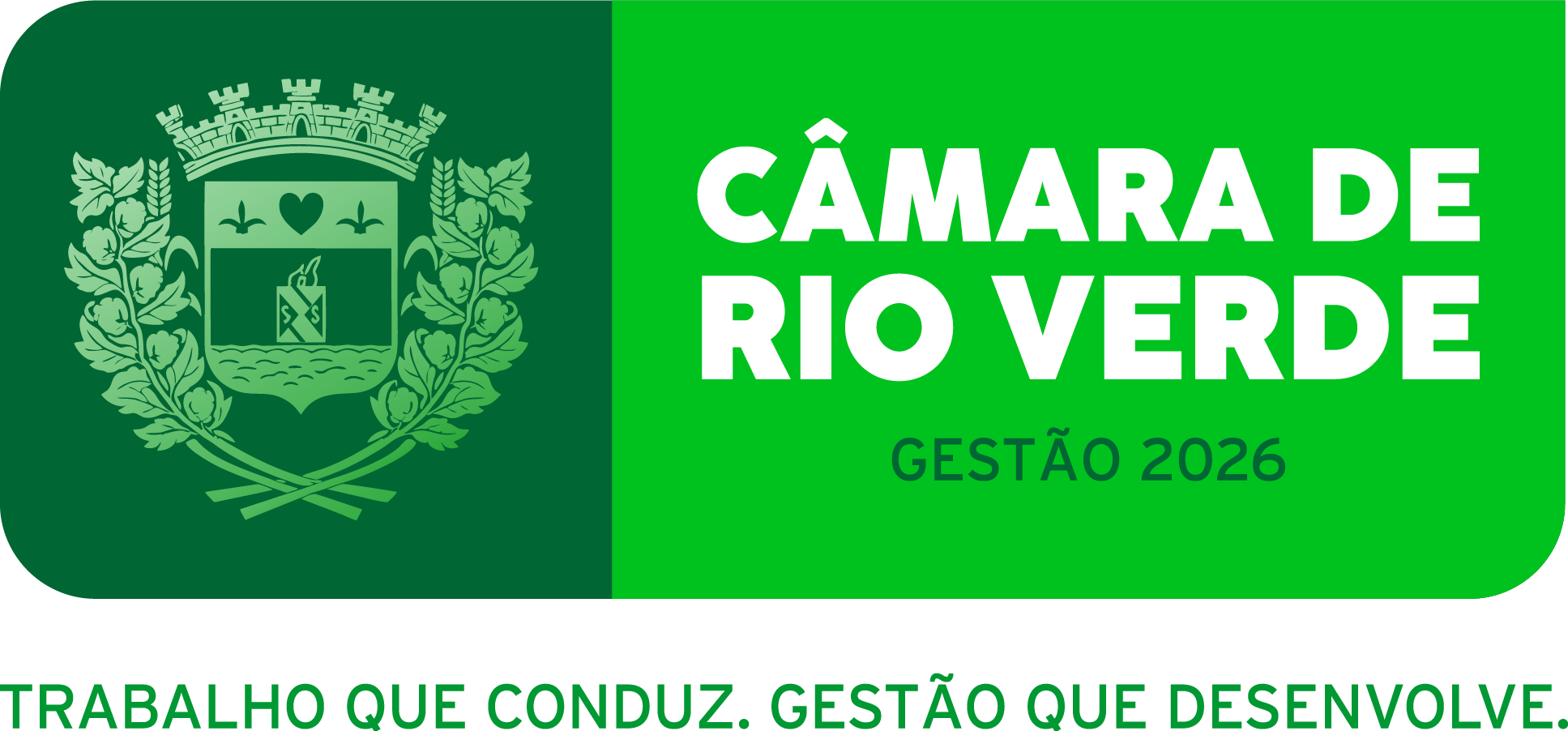 Câmara Municipal de Rio Verde
