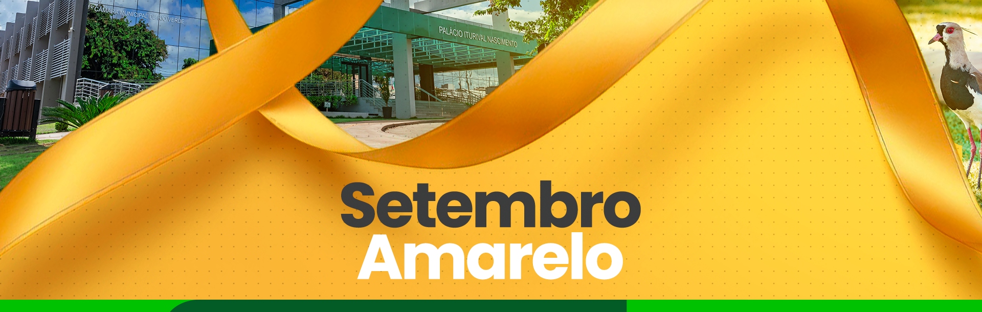 SETEMBRO AMARELO